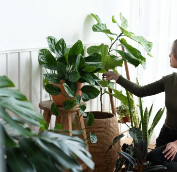 woman-tending-caring-1